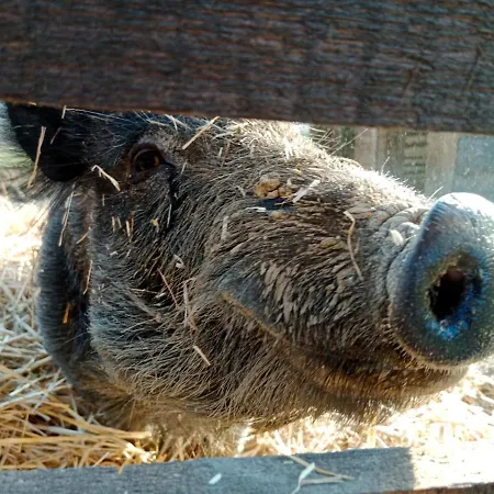 Max & Lory Oda ve Kahvaltı Neviano degli Arduini
