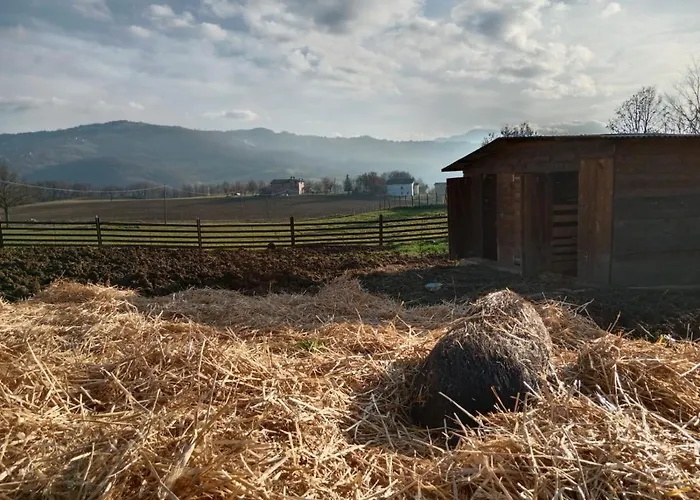 Oda ve Kahvaltı Max & Lory Neviano degli Arduini